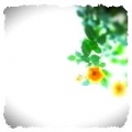 rocon